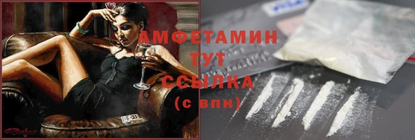 шишки Верея