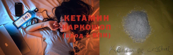 шишки Верея