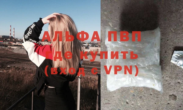 шишки Верея