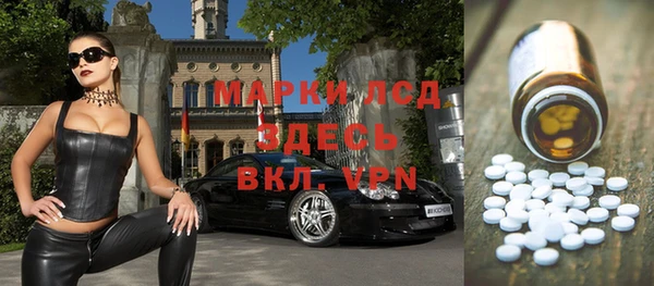 шишки Верея