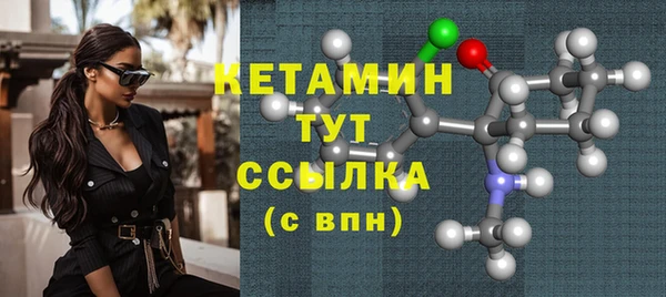 шишки Верея