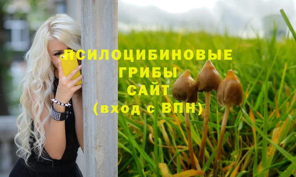шишки Верея
