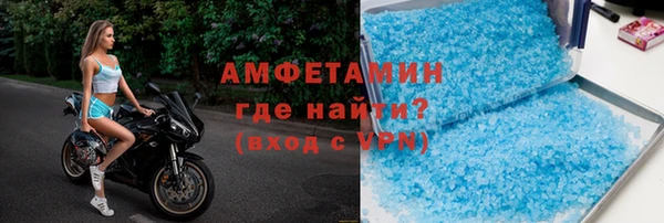 шишки Верея