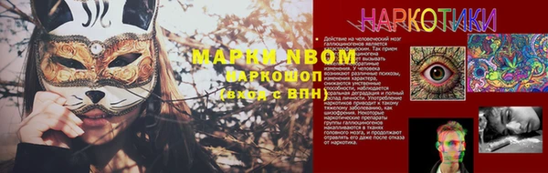 шишки Верея