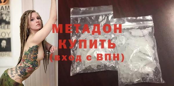 шишки Верея