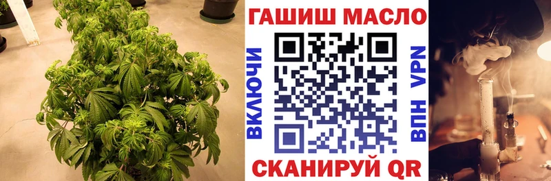 Купить  Славянск-на-Кубани  Дистиллят ТГК концентрат 
